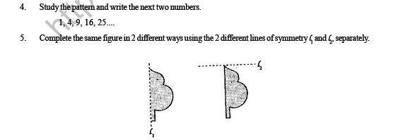 CBSE Class 4 Maths Symmetry And Patterns Question Bank